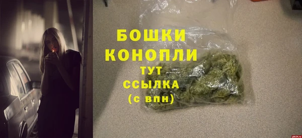крисы Бронницы