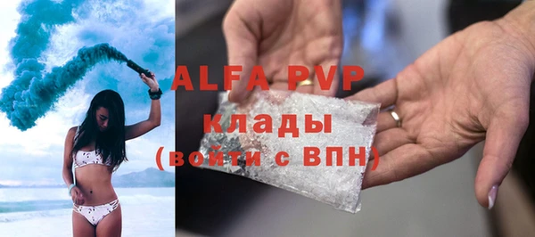 крисы Бронницы