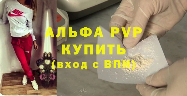 спиды Бородино