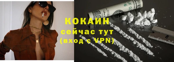 спиды Бородино