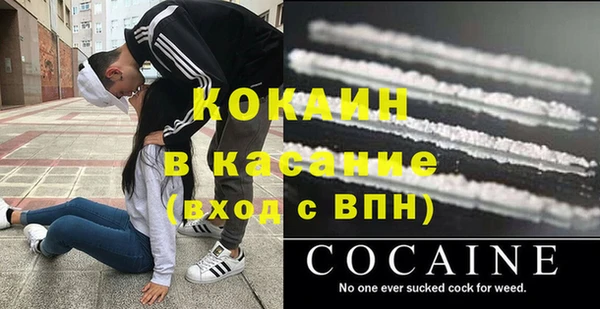 крисы Бронницы