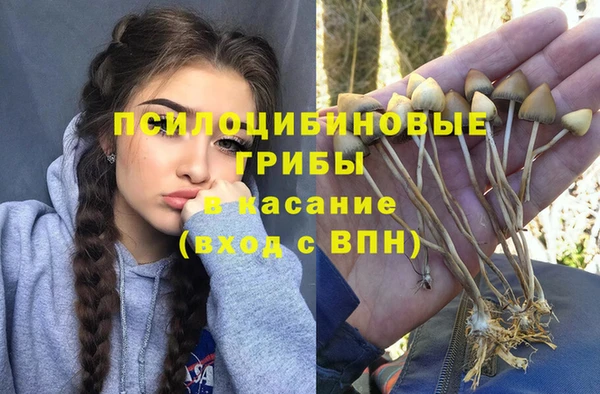 крисы Бронницы