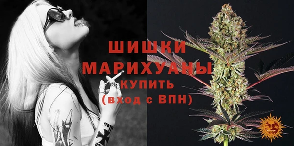 спиды Бородино
