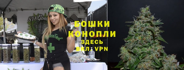 крисы Бронницы