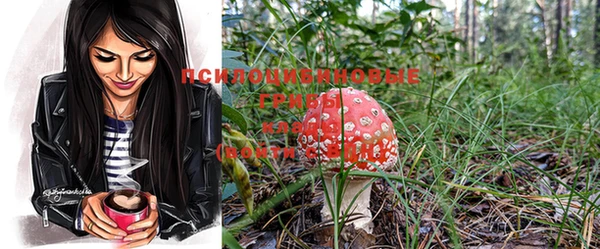 крисы Бронницы