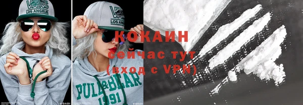 крисы Бронницы