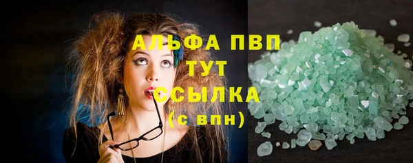 спиды Бородино